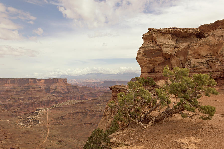 Canyonlands Overlook Photograph by Peter J Sucy