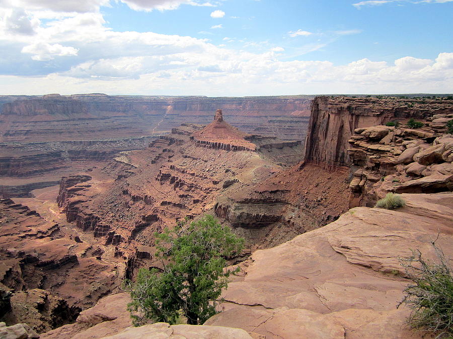 Canyonlands Photograph Photograph by Kimberly Walker