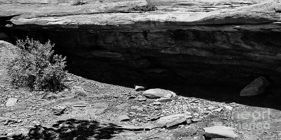 Canyonlands Shade BW Photograph by Tim Richards