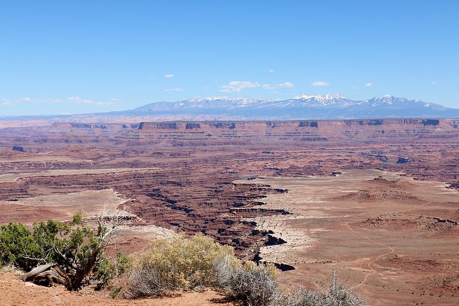 Canyonlands View - 19 Photograph by Christy Pooschke