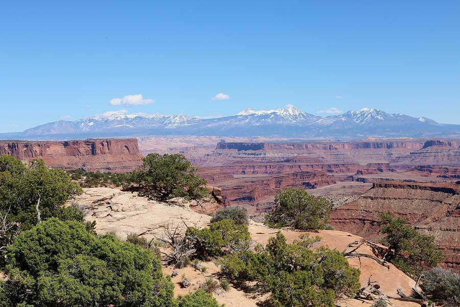 Canyonlands View - 20 Photograph by Christy Pooschke
