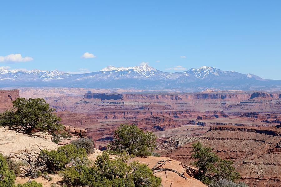 Canyonlands View - 22 Photograph by Christy Pooschke