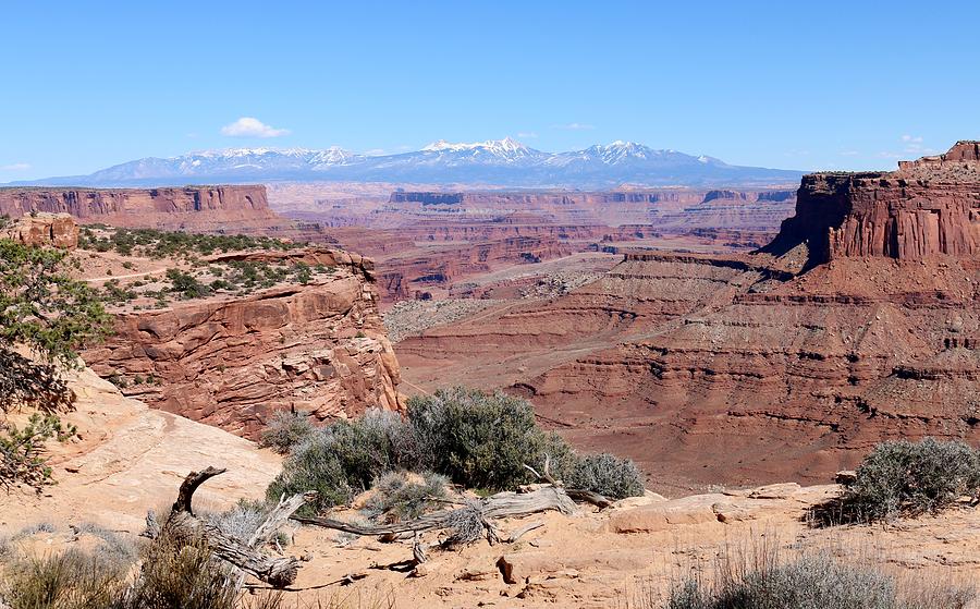 Canyonlands View  Photograph by Christy Pooschke