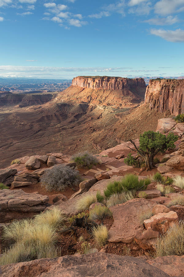 Canyonlands View Photograph by Denise Bush