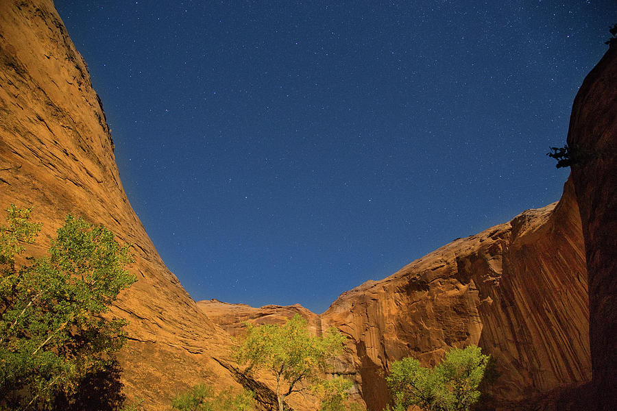 Canyons and Stars Photograph by Kunal Mehra