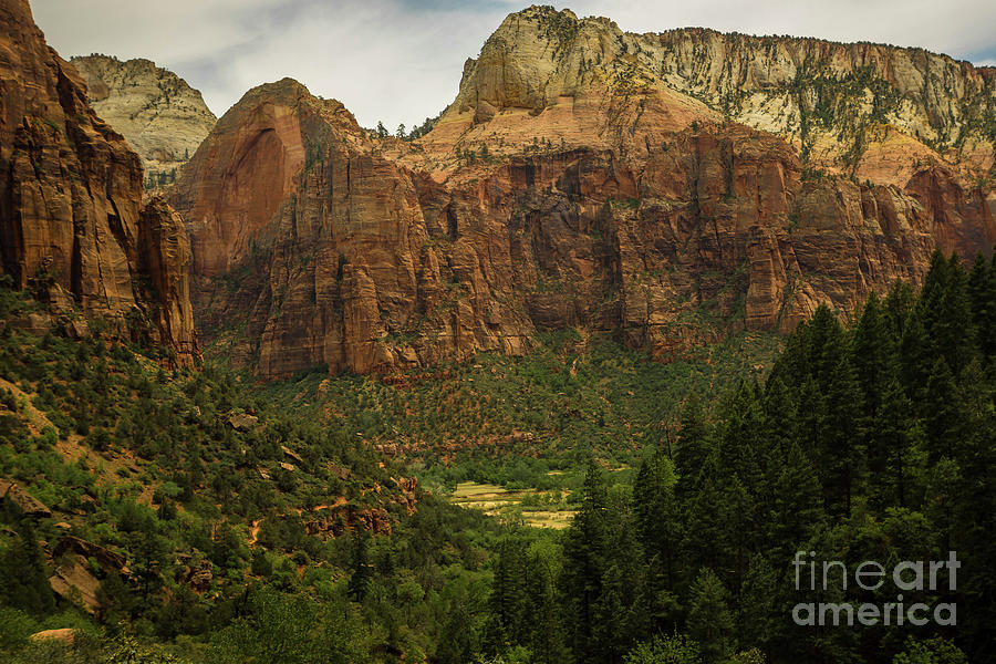 Canyons in Zion Photograph by George Kenhan