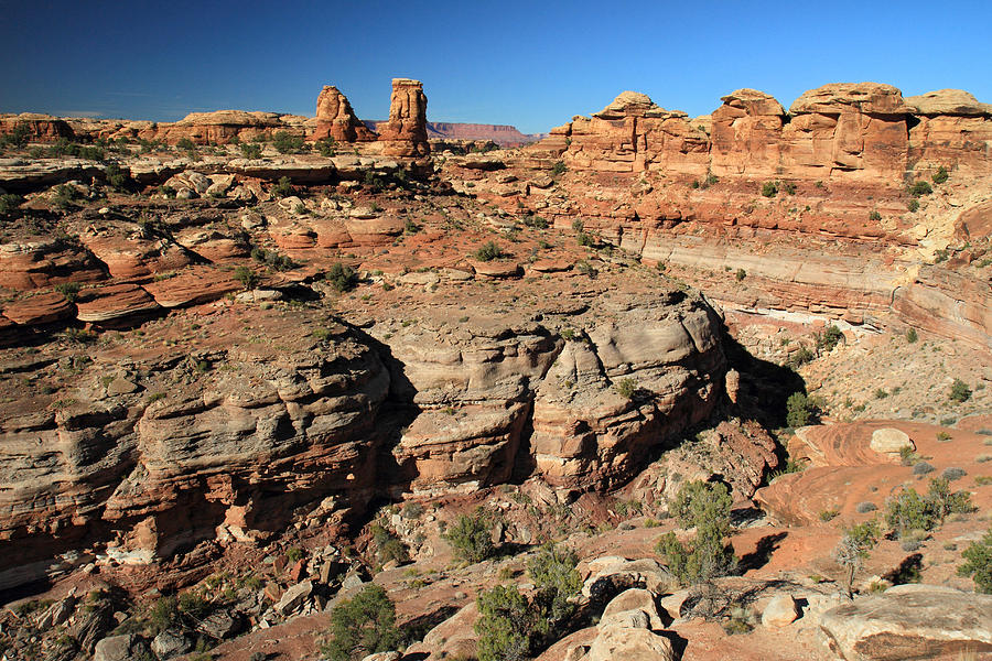 Canyons of Canyonlands National Park Photograph by Pierre Leclerc Photography