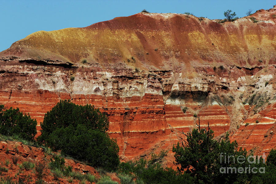 Canyons Palette Photograph