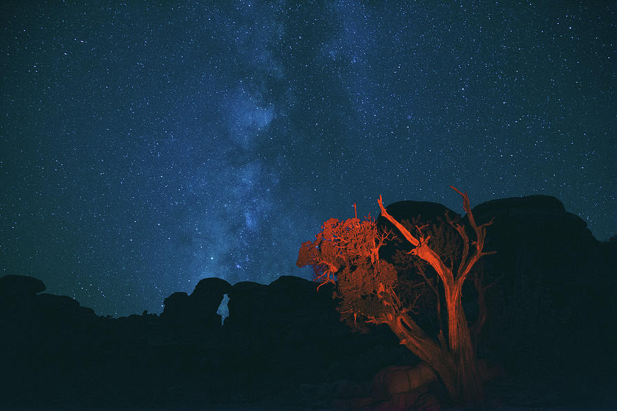 Canyons, stars and solitude Photograph by Kunal Mehra