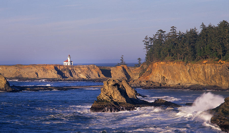 Cape Arago Photograph by Buddy Mays