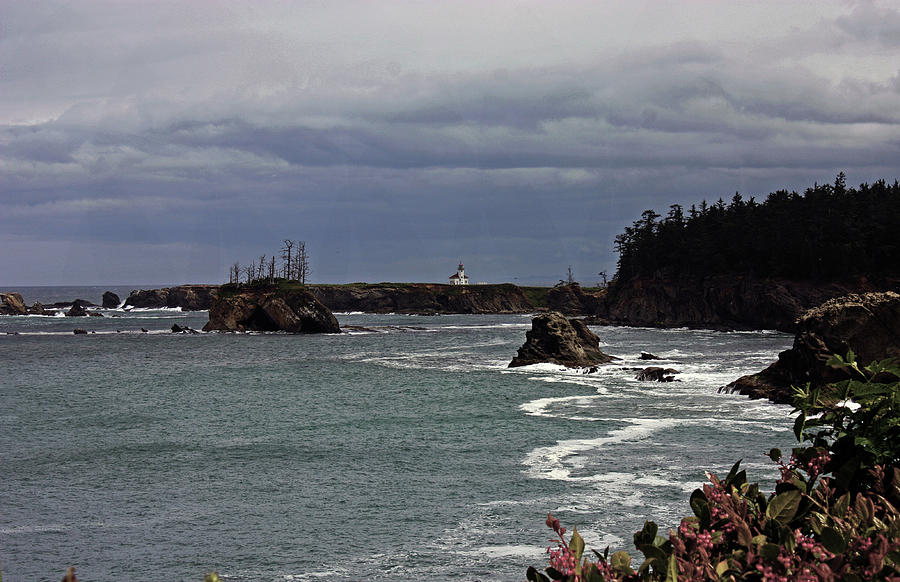 Cape Arago Lighthouse Photograph by Kami McKeon