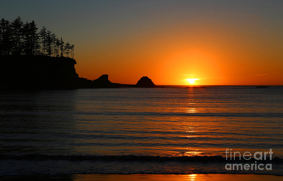 Sunset Photograph - Cape Arago Sunset by Marty Fancy