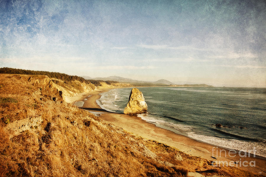 Nature Photograph - Cape Blanco Coastal View by Scott Pellegrin