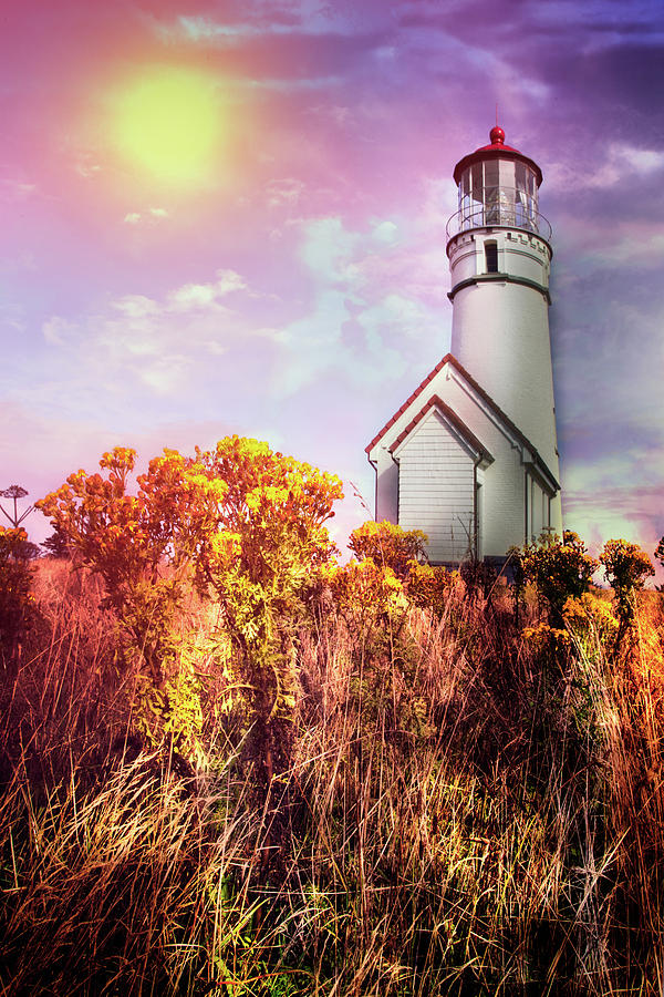 Cape Blanco Lighthouse in Oregon Photograph by Debra and Dave Vanderlaan