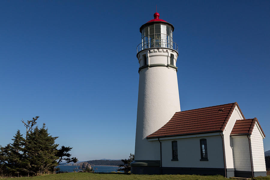 Cape Blanco Lighthouse Photograph by John Daly