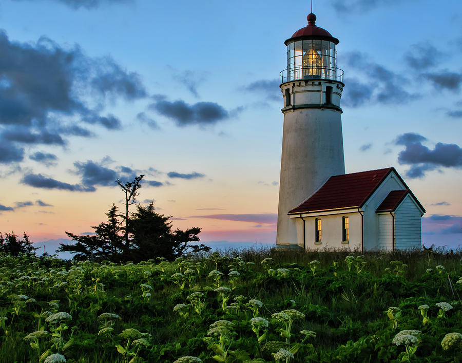 Cape Blanco Lighthouse Photograph by Roberta Kayne