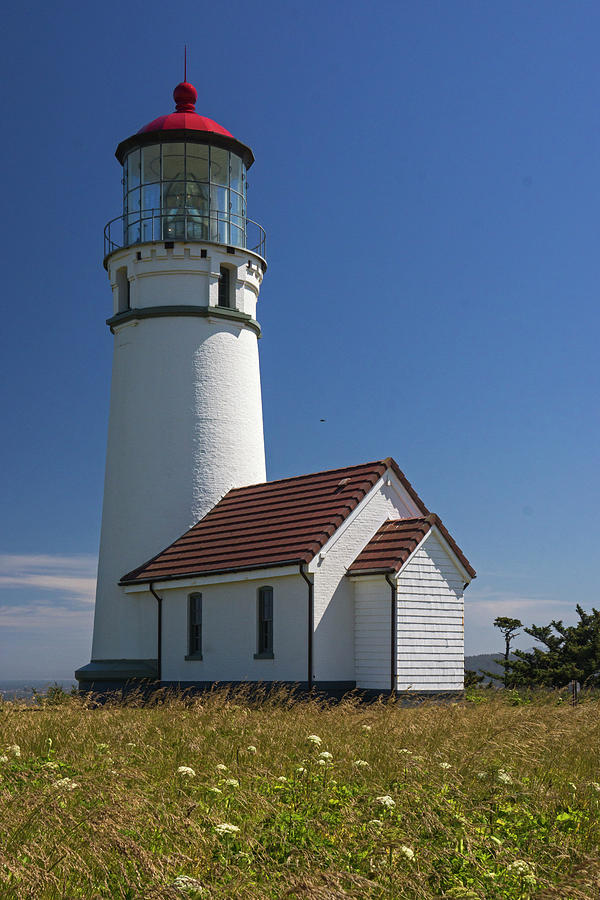 Cape Blanco Lighthouse V Photograph by Inge Riis McDonald