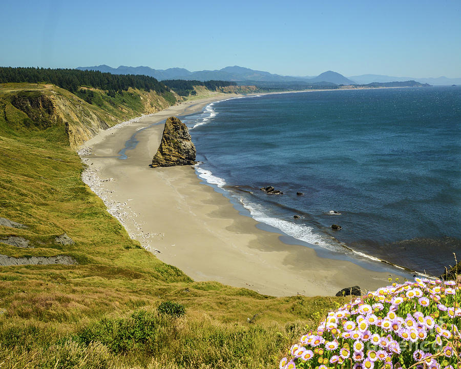 Cape Blanco on the Oregon Coast by Michael Tidwell Photograph by Michael Tidwell