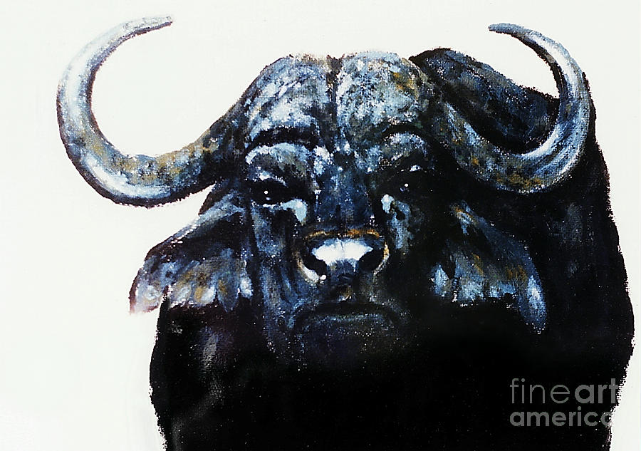 Cape Buffalo Painting by Hartmut Jager