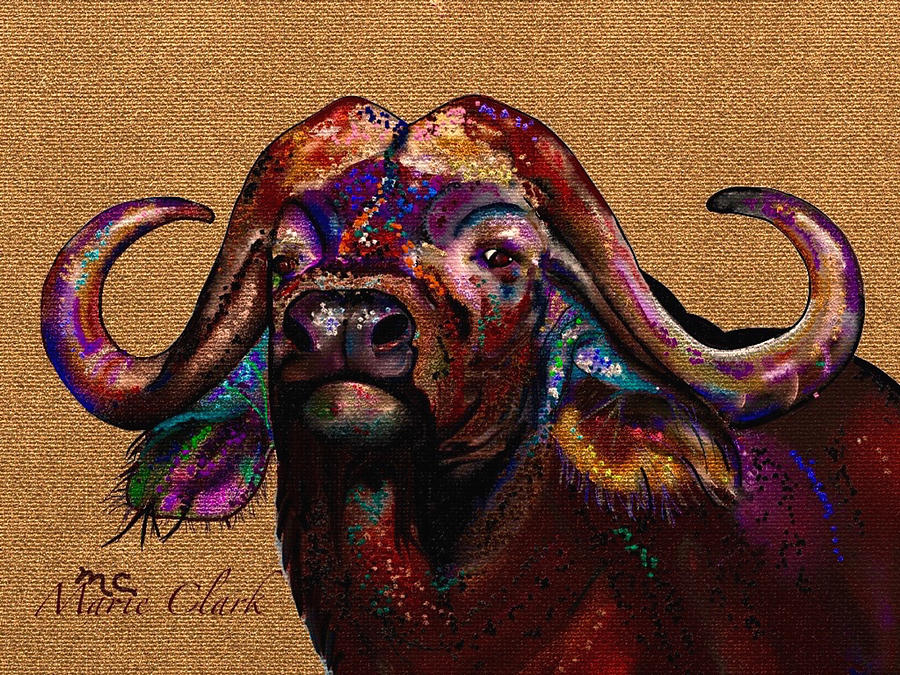 Cape Buffalo Painting By Marie Clark Fine Art America