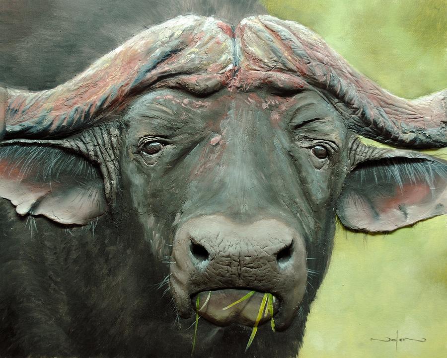 Oil Painting - Cape Buffalo by Nolan Clark Oil Painting - Cape Buffalo by Nolan Clark