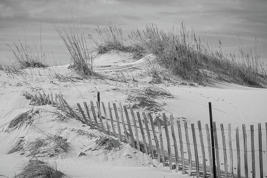 Cape Charles by Amanda Rimmer Cape Charles by Amanda Rimmer
