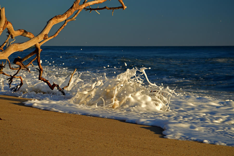 Cape Cod at High Tide - Nauset Light Beach Photograph by Dianne Cowen Cape Cod Photography