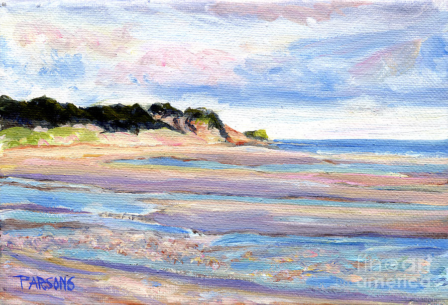 Cape Cod Bay Tidal Pools Painting by Pamela Parsons