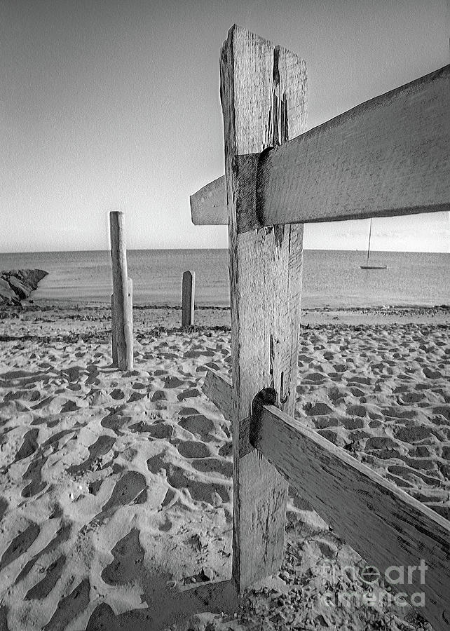 Cape Cod Beach Digital Art by Anthony Ellis - Fine Art America