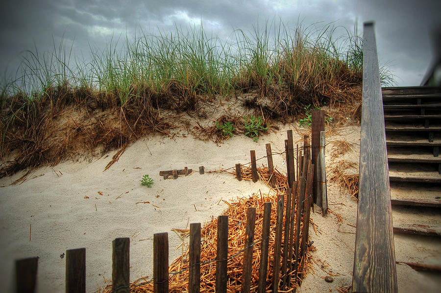 Cape Cod Beach Photograph by Kelly Wade