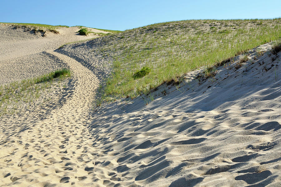 Landscape Photograph - Cape Cod Dune Path by Luke Moore