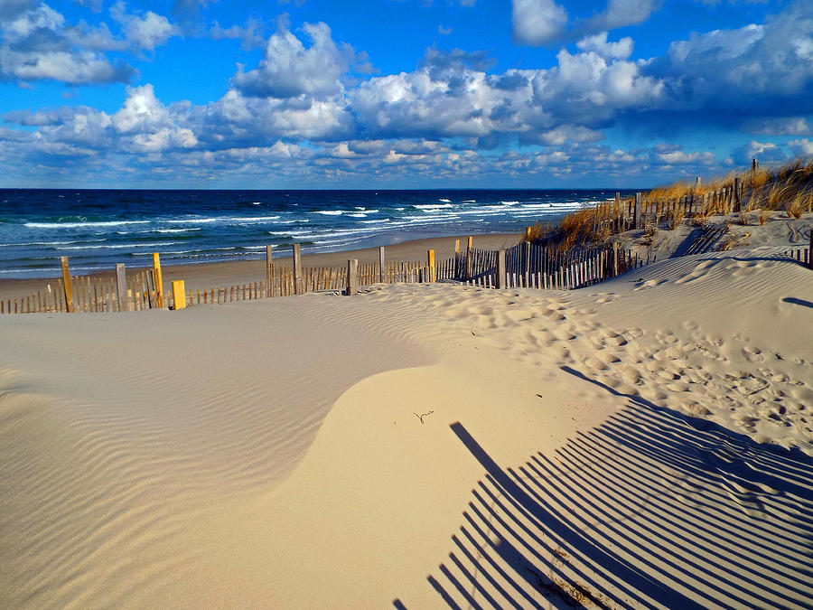 Cape Cod Dunes in Winter  Photograph by Dianne Cowen Cape Cod Photography