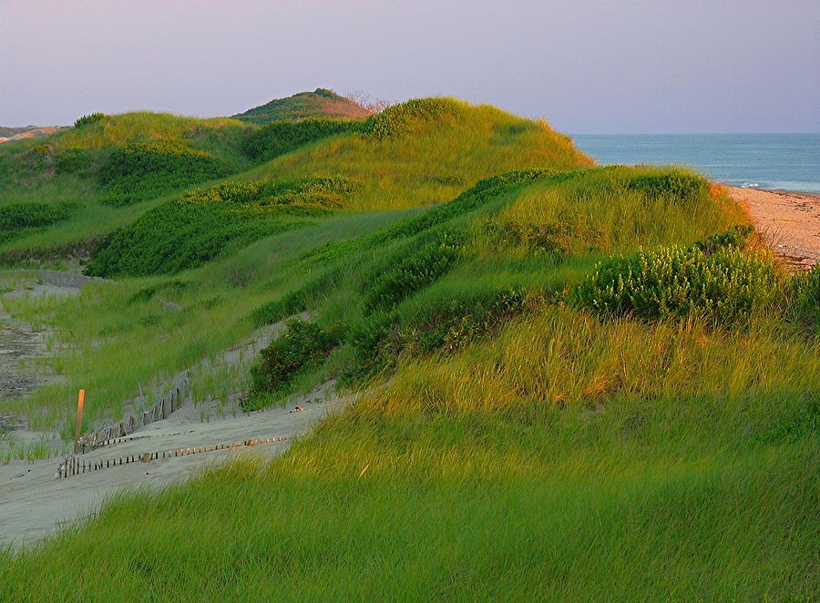 Cape Cod Dunes Photograph by Juergen Roth