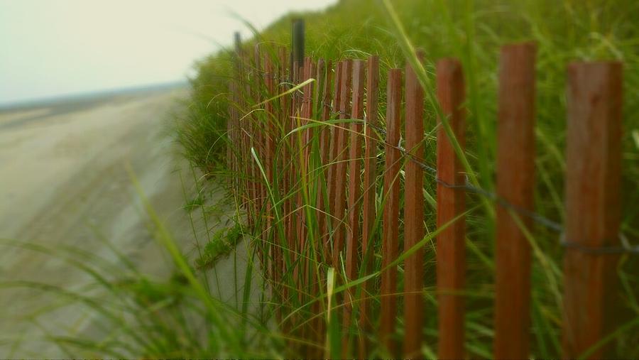 Beach Photograph - Cape Cod Fence by Rick Macomber