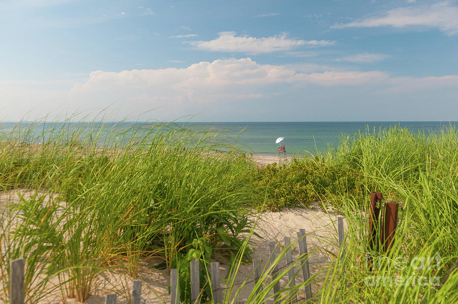 Cape Cod Lifeguard Photograph by Lyn Scott - Pixels