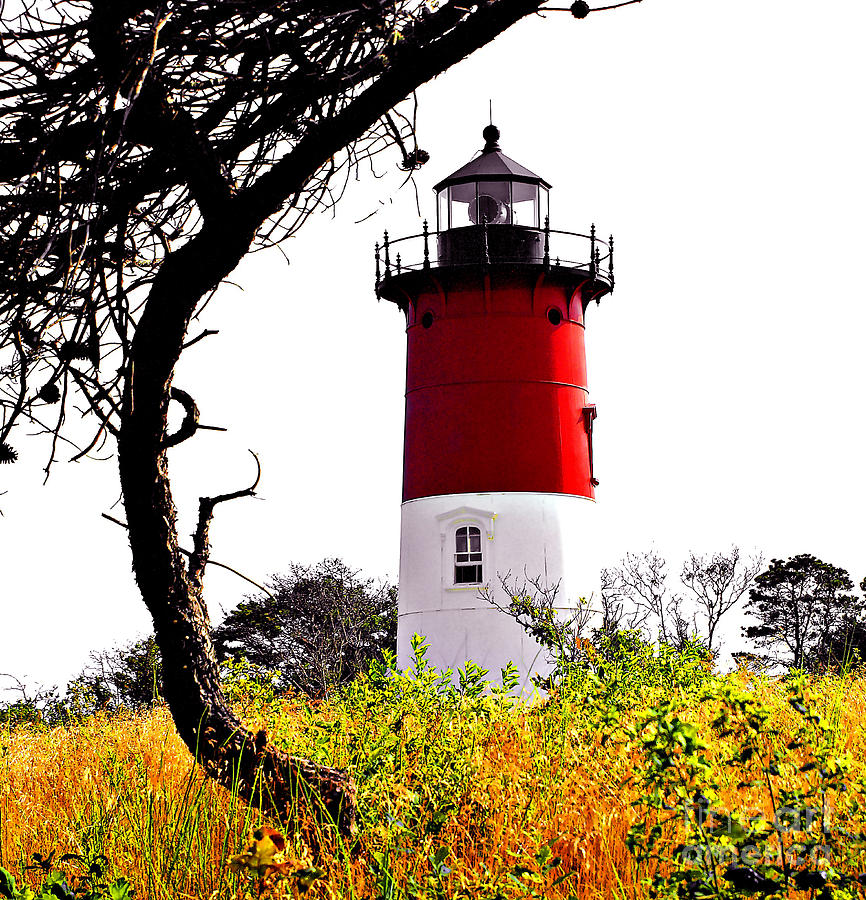 Cape Cod Lighthouse HDR Photograph by Raymond Earley