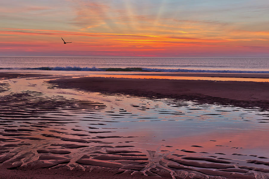 Beach Photograph - Cape Cod Low Tide Sunrise by Bill Wakeley