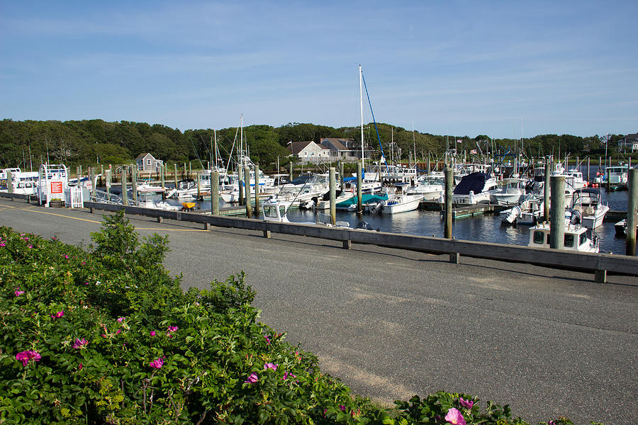 Cape Cod Marina Photograph by Lynne Albright - Fine Art America