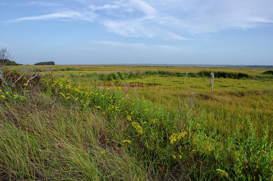 Cape Cod Marsh Photograph by Donna Doherty