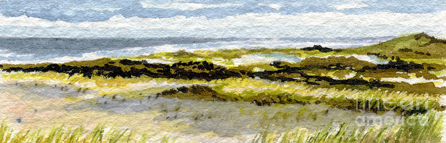 Cape Cod National Seashore Painting by Heidi Gallo