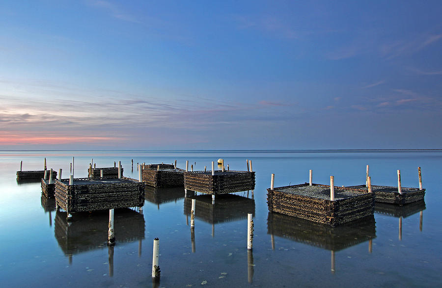 Cape Cod Oyster Farm Photograph by Juergen Roth