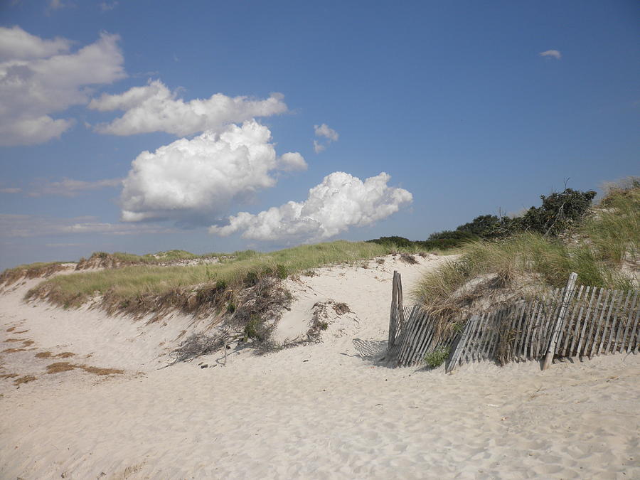 Cape Cod Sand Dunes Photograph by Betsy Cullen - Pixels