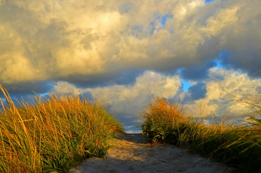 Cape Cod Sand Dunes Photograph by Dianne Cowen Cape Cod Photography