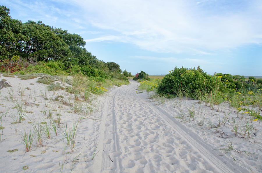 Cape Cod Sandy Walk Photograph by Donna Doherty