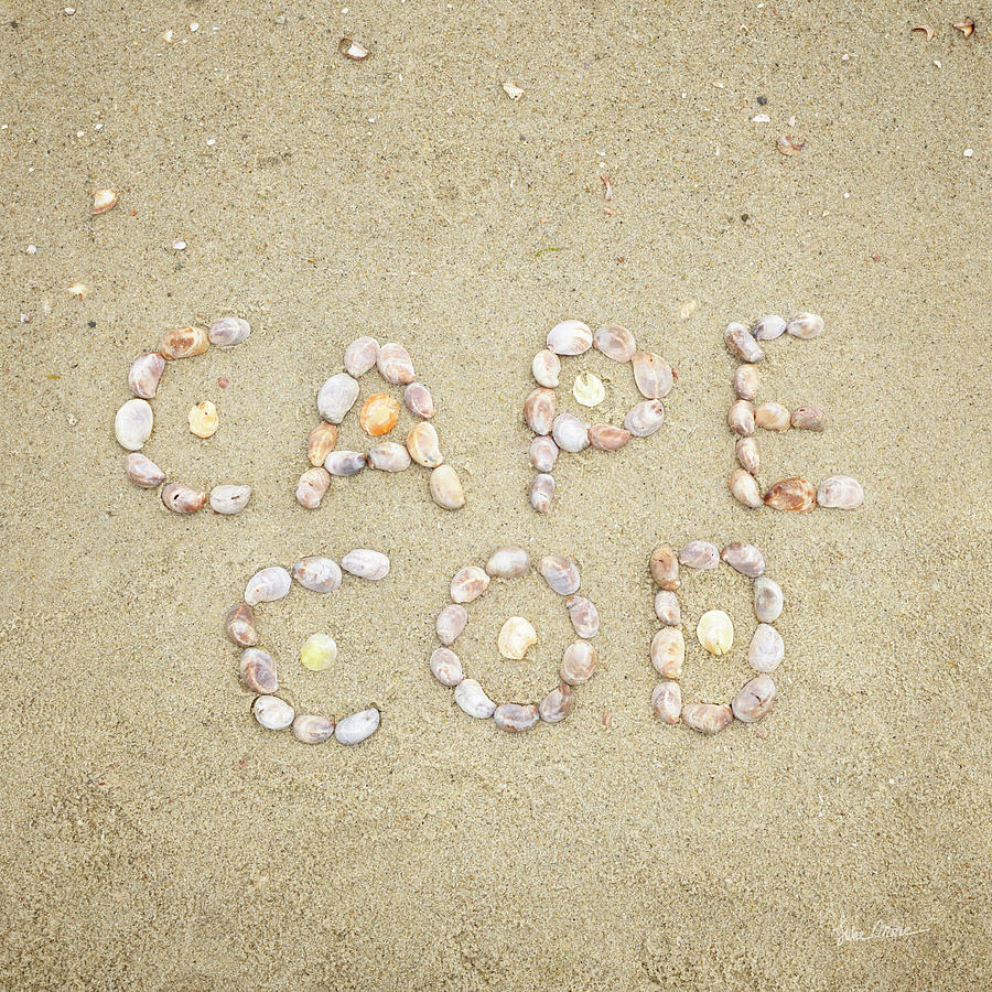 Cape Cod Seashells Photograph by Luke Moore