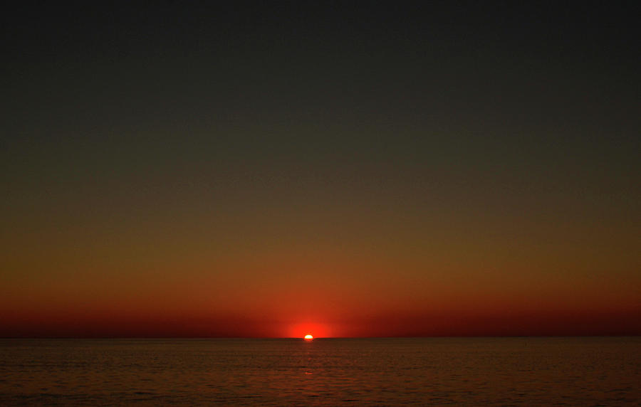 Cape Cod Sun Drop Photograph by Garrett Sheehan