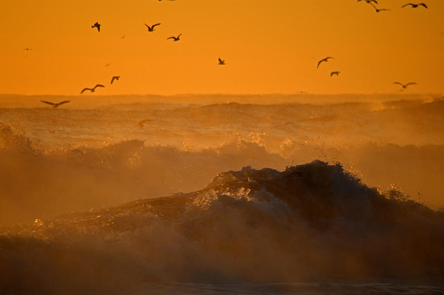 Cape Cod Sunrise Surf Photograph by Dianne Cowen Cape Cod Photography