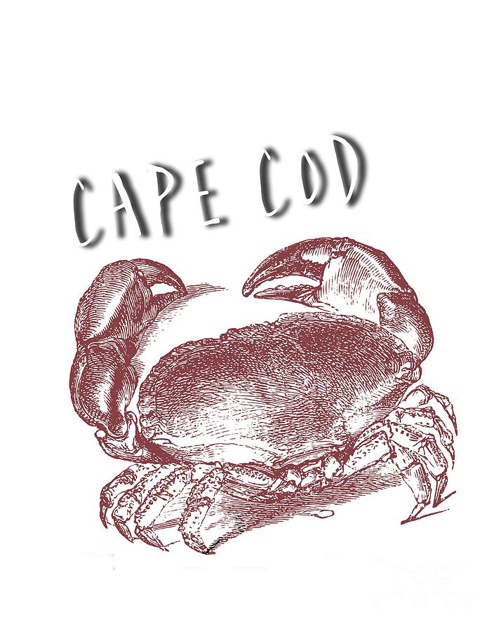 Cape Cod Tee Digital Art by Edward Fielding