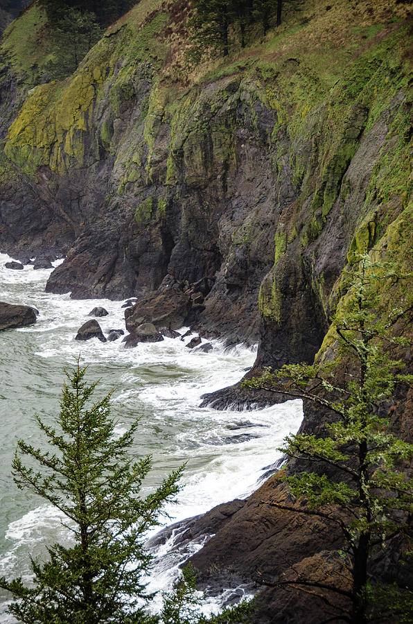 Cape Disappointment Photograph by Anthony Doudt