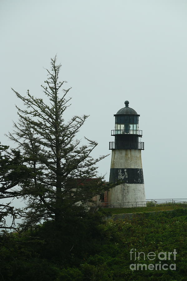 Cape Disappointment Light Photograph by Christiane Schulze Art And Photography